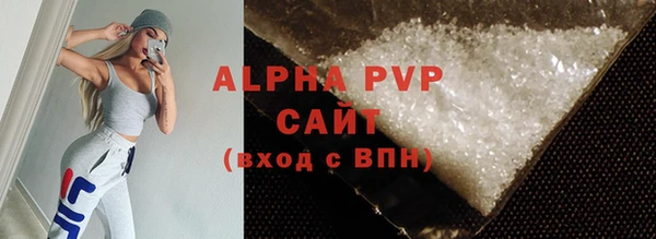 прущие грибы Чита