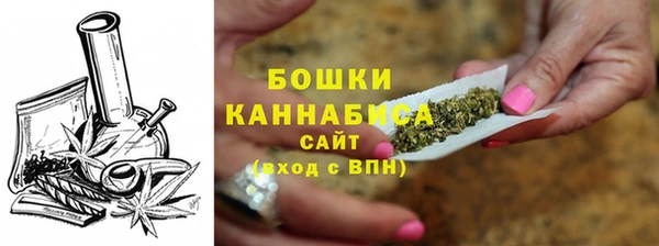 шишки Лагань