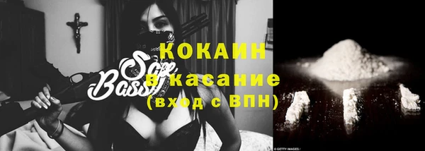 шишки Лагань