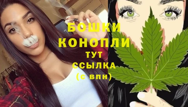 прущие грибы Чита