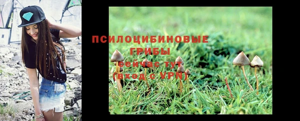 шишки Лагань