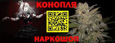 крисы Балаково