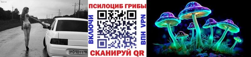 shop состав  Ростов-на-Дону  Псилоцибиновые грибы Psilocybine cubensis 