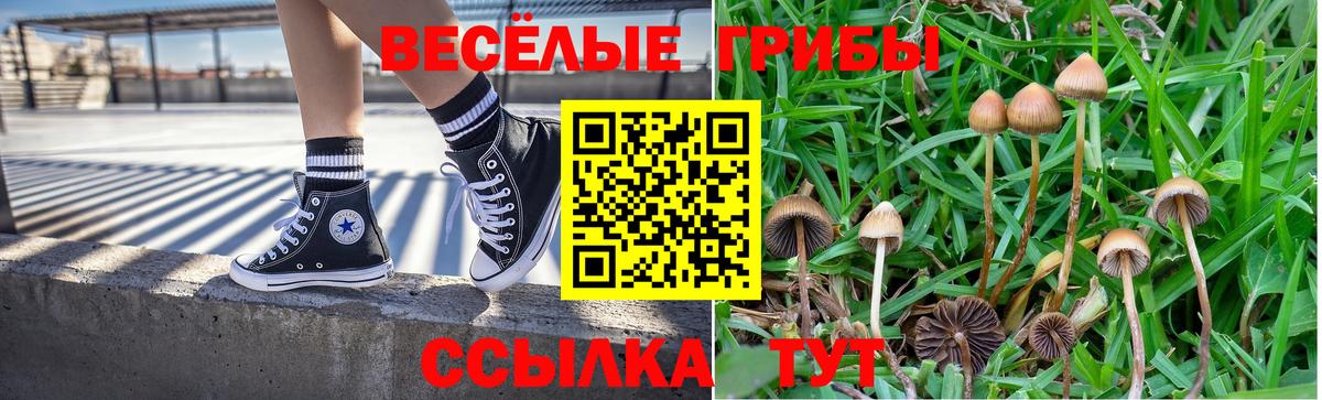 Галлюциногенные грибы Magic Shrooms  Ростов-на-Дону  Псилоцибиновые грибы Magic Shrooms 