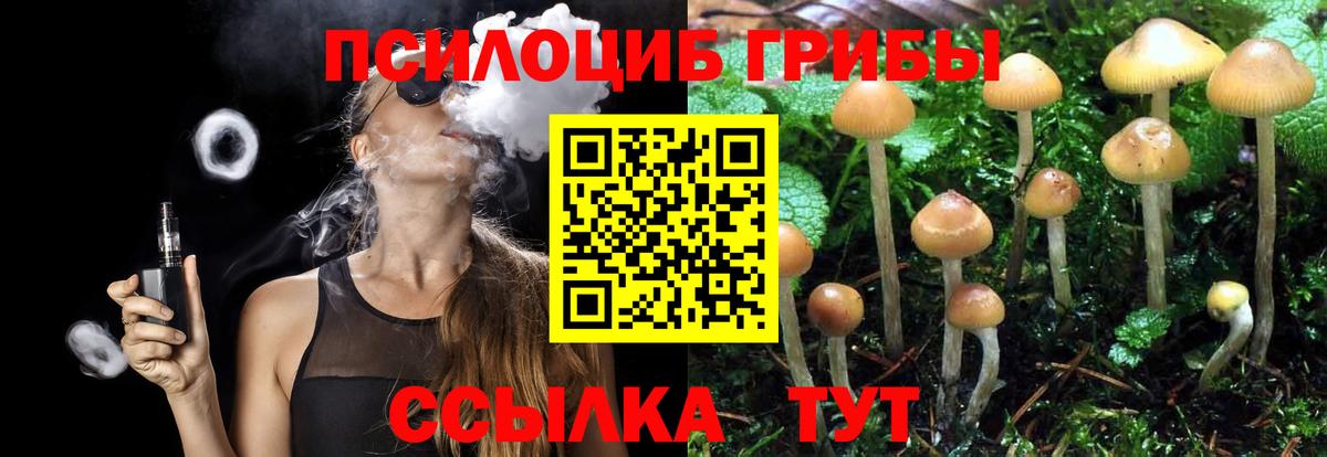Ростов-на-Дону  Псилоцибиновые грибы ЛСД  Вход с VPN 